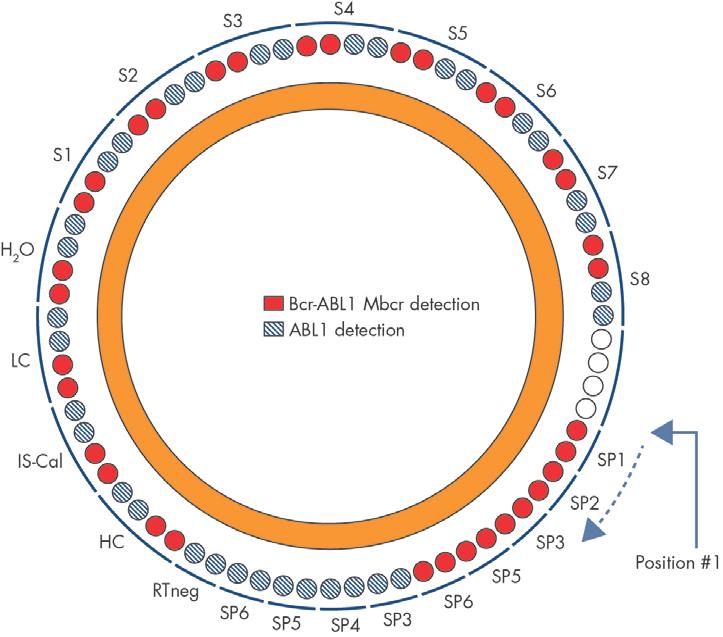 SP1 SP6: Πρότυπα BCR-ABL1 Mbcr και ABL1, HC: Θετικός ορός ελέγχου υψηλής συγκέντρωσης, LC: Θετικός ορός ελέγχου χαμηλής συγκέντρωσης,