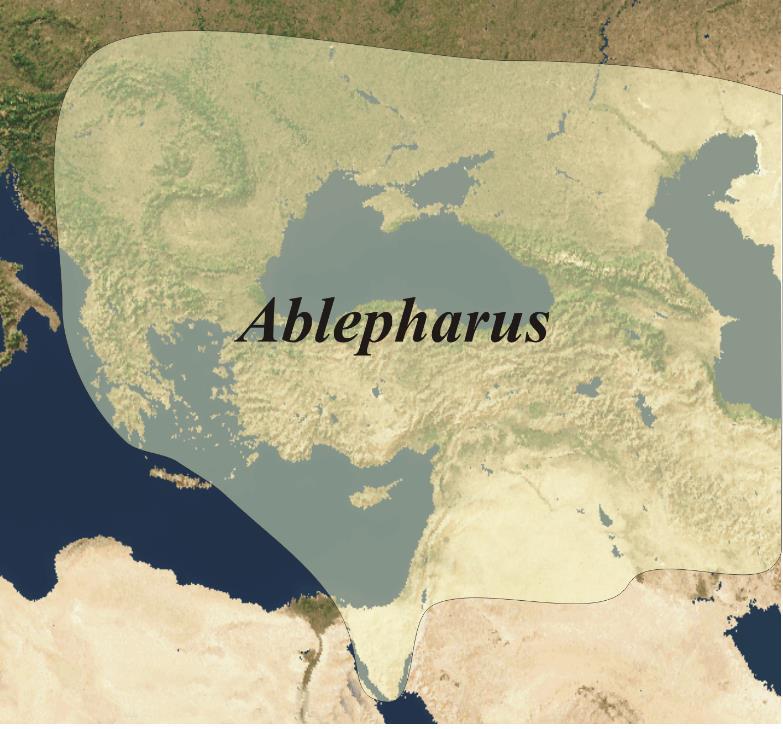 Εισαγωγή Γενικά στοιχεία Το γένος Ablepharus κατανέμεται στην ανατολική Ευρώπη και στην Ασία.