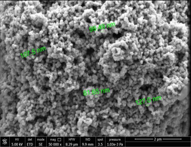 μεγαλύτερα σωματίδια ~66 nm).