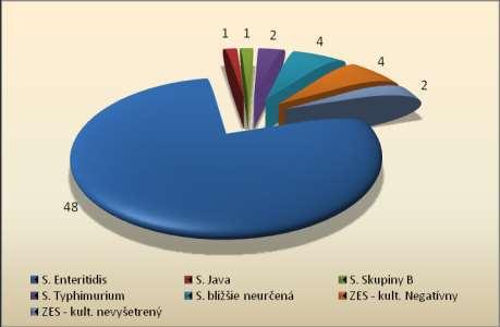 Graf: Prehľad sérotypov salmonelóz v okrese Spišská Nová Ves: 2015 Prehľad salmonelóz v rodinnej epidemiologickej súvislosti v roku 2015 v okrese Spišská Nová Ves P.č.