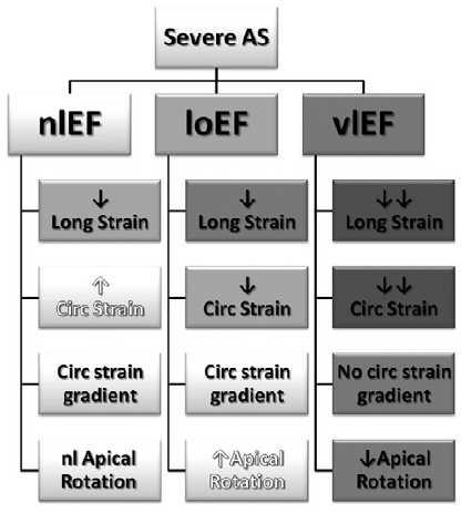 64 ασθενείς με σοβαρή ΑΣ υποβλήθηκαν σε AVR n=32, ΚΕ 50% n=16, ΚΕ 35% n=16, ΚΕ 36-50% Aρχικά