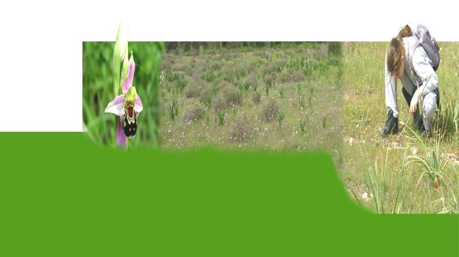 Ε. Χλωρίδα, εξερεύνηζη ηων θυηών χολική Χρονιά 2017-2018 χετικζσ Θεματικζσ Ενότητεσ Περιβαλλοντικήσ Εκπαίδευςησ: Βιοποικιλότητα Μζςα από το πρόγραμμα αυτό προωκείται θ καλλιζργεια δεξιοτιτων