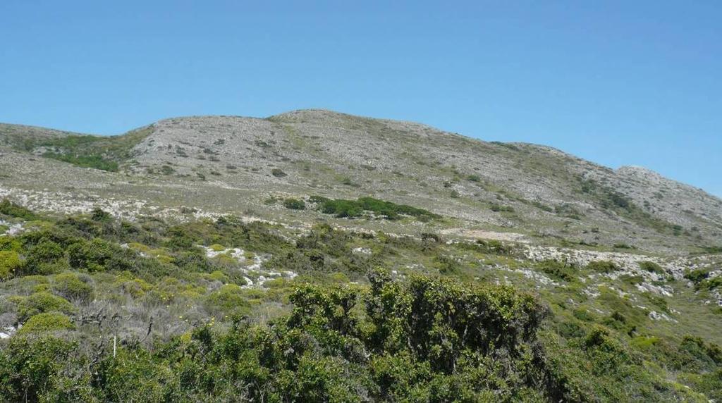 Εικόνα 1: Η κορυφή του όρους Κόχυλα στη νότια Σκύρο.