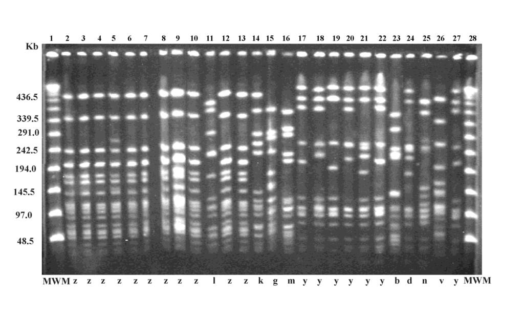 Στη ΜΕΘ νεογνών ΠΓΝΠ 132 MR-CNS: 115 MRSE, 16 MR- S.