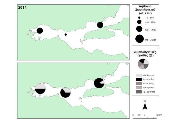 Εικόνα 5: Αφθονία του μεσοζωοπλαγκτού και η % συμμετοχή των κυρίαρχων ζωοπλαγκτικών ομάδων στη βιοκοινότητα στους σταθμούς δειγματοληψίας το καλοκαίρι του 2014.
