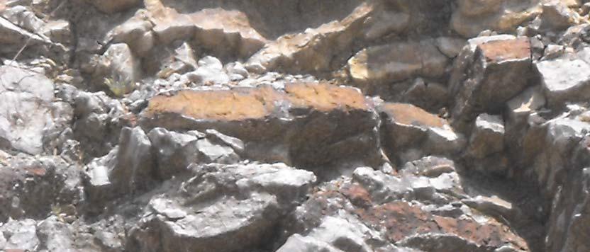 17 εκ. Εικόνα 5.8. Πυριτόλιθος σε πρωτογενή απόθεση, νότια της περιοχής του Ελευθεροχωρίου.