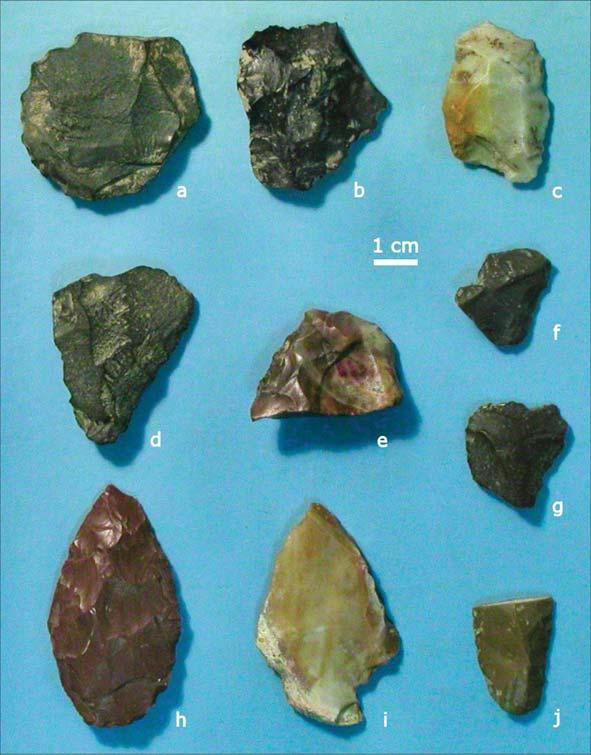 δεδομένα (2 δόντια) από τα Ουλούζια αρχαιολογικά στρώματα της θέσης Grotta del Cavallo, οδήγησαν στο συμπέρασμα ότι τα «μεταβατικά» ή πρώιμα ανώτερα παλαιολιθικά αυτά σύνολα συνδέονται με Ανατομικά
