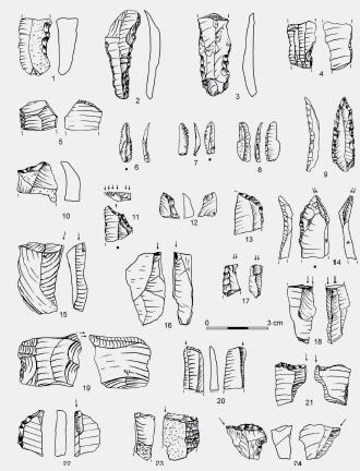 πραγματικούς πυρήνες, εργαλεία ή και τα δυο (ο.π.). Εικόνα 8.39. Τέχνεργα της Ωρινιάκιας από τα στρώματα ΙΙΙd e του σπηλαίου 1 της Κλεισούρας. (Πηγή: Kaczanowska κ.α 2010).