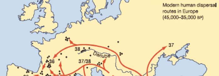 προφυλαγμένες θέσεις με Ωρινιάκια κατάλοιπα στην Πελοπόννησο) έγινε και μέσω μιας διαδρομής δυτικά της οροσειράς της Πίνδου (εικ. 8.43)