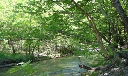 νερού σε τεχνικά έργα Εγκατάσταση πρότυπων αισθητήρων υγρασίας εδάφους TDR Παρακολούθηση με τηλεμετρικές μεθόδους μετεωρολογικών δεδομένων (μετεωρολογικός σταθμός στην