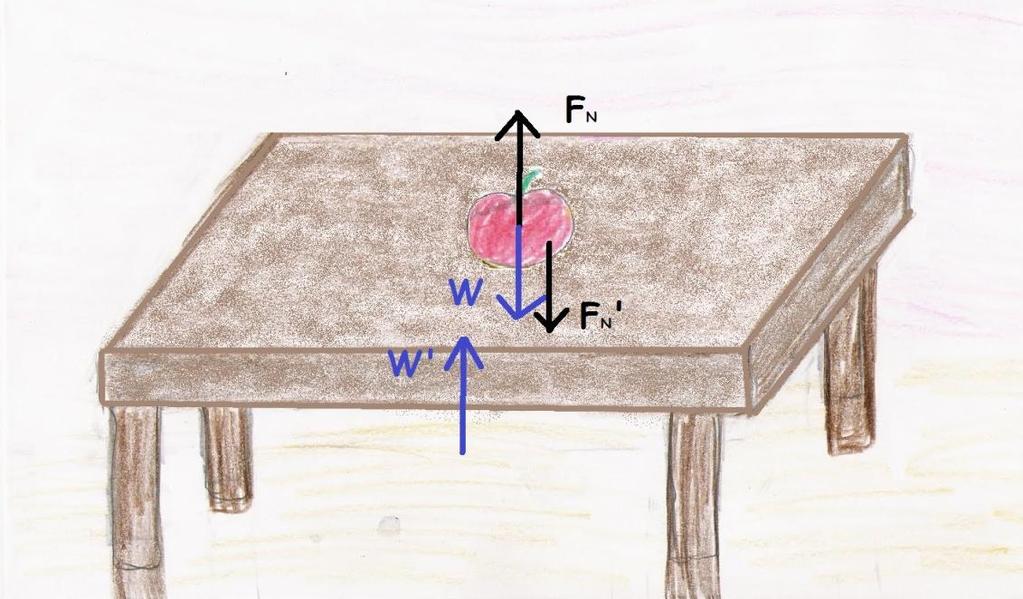 Μήλο πάνω σε τραπέζι Δράση F N : Η δύναμη που ασκεί το τραπέζι στο μήλο Αντίδραση F N : Η δύναμη που ασκεί το μήλο στο τραπέζι Δράση W : Η
