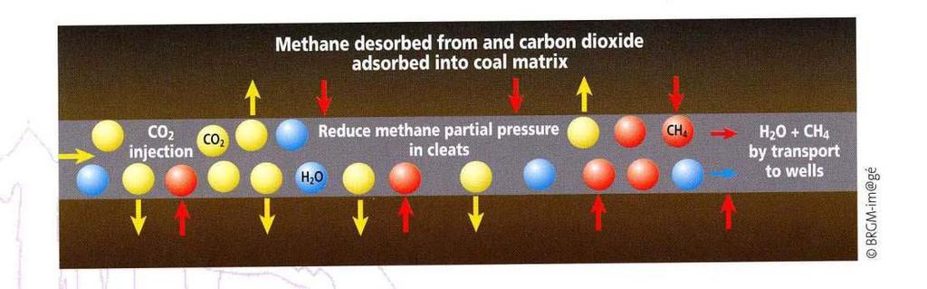 Αποθήκευση σε κοιτάσµατα µη εξορυγµένου γαιάθρακα (ECBMR) Το CO 2 εισάγεται σε κοιτάσµατα άνθρακα, απορροφάται στις επιφάνειες των στρωµάτων µη εξορυγµένου άνθρακα