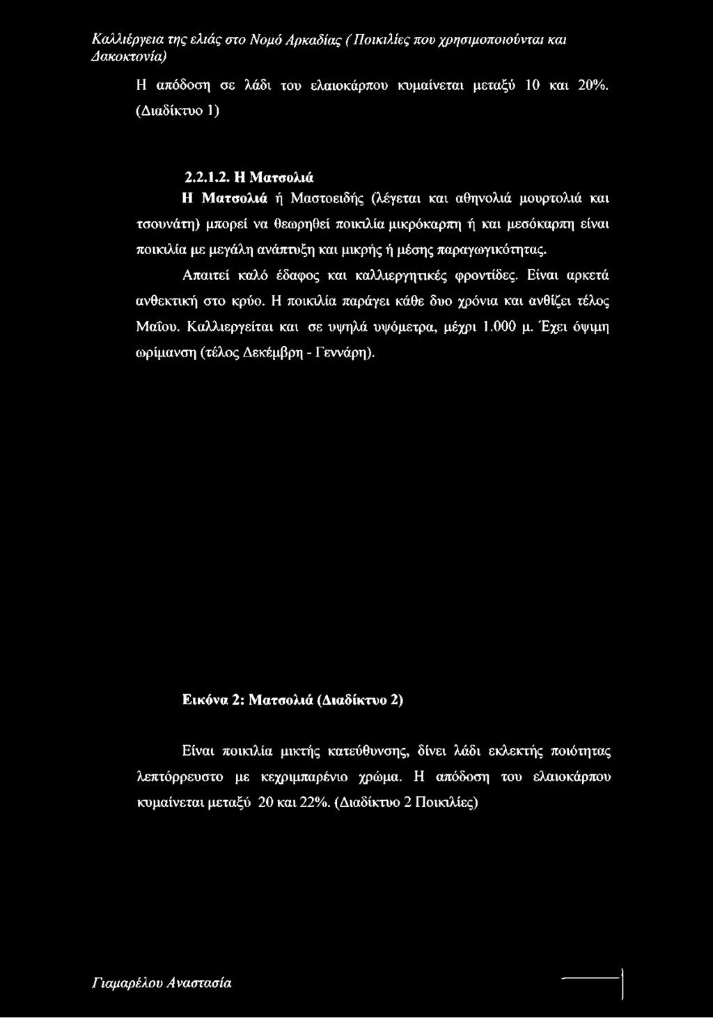 2.1.2. Η Ματσολιά Η Ματσολιά ή Μαστοειδής (λέγεται και αθηνολιά μουρτολιά και τσουνάτη) μπορεί να θεωρηθεί ποικιλία