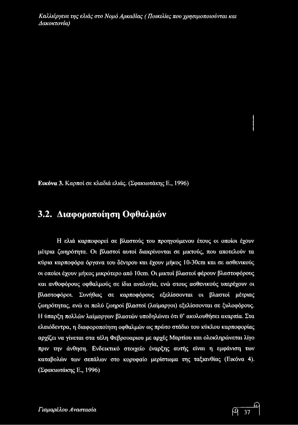 Οι βλαστοί αυτοί διακρίνονται σε μικτούς, που αποτελούν τα κύρια καρποφόρα όργανα του δέντρου και έχουν μήκος 10-30αη και σε ασθενικούς οι οποίοι έχουν μήκος μικρότερο