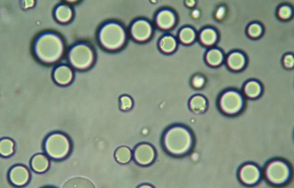 60 α) β)