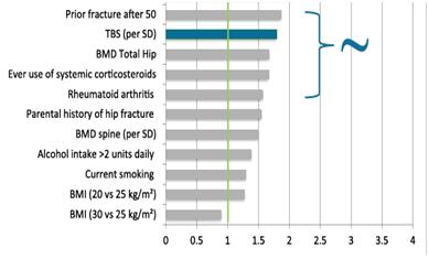 Relative Risk of TBS expressed by standard deviation and compared with relative risks of major