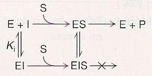 Στη μη συναγωνιστική αναστολή, ο αναστολέας και το υπόστρωμα μπορούν να προσδεθούν ταυτόχρονα σε ένα μόριο ενζύμου (ESI) σε διαφορετικές θέσεις