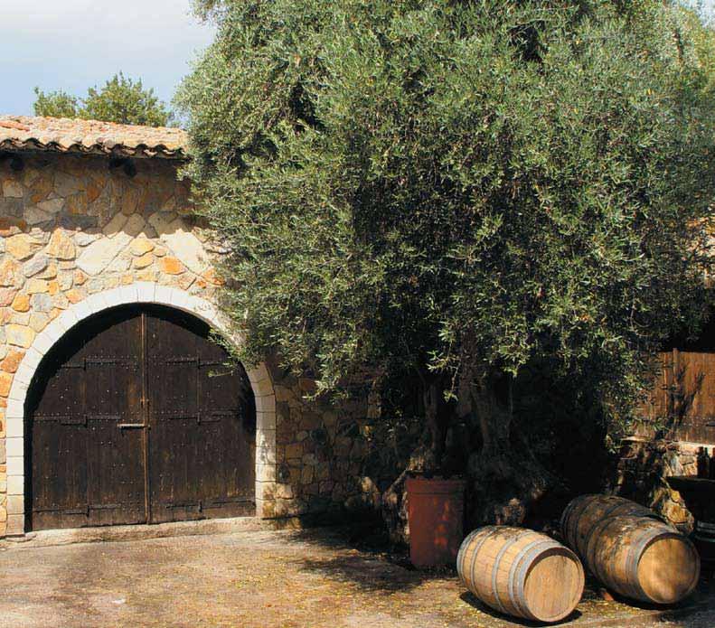 Προβολή Προβολή Θοδωρής Μανουσάκης Ιδιοκτήτης της εταιρίας NOSTOS Χανιώτικo κρασί στην Ελλάδα.
