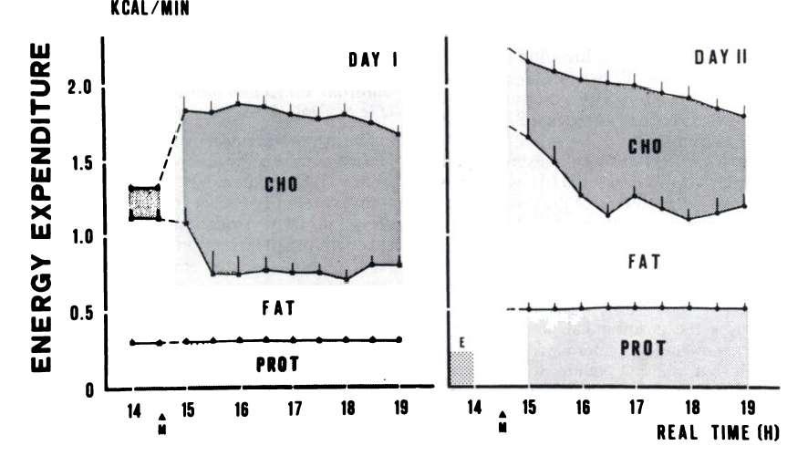 R, Schutz Y, Jequier E (1985) Energy metabolism during the postexercise recovery in man.