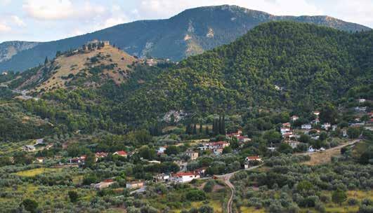 στόχων και αρχών του χωροταξικού σχεδιασμού, η Εταιρία συνασπίσθηκε για μία ακόμη φορά με τις περισσότερες από τις σε τακτική βάση συνεργαζόμενες περιβαλλοντικές οργανώσεις, τον Δ.Σ.Α.