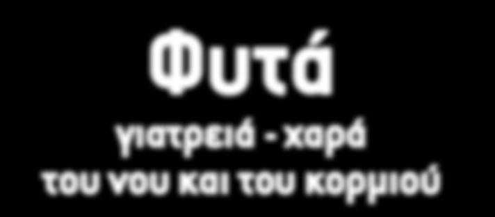 Πηνελόπη Ματσούκα, 123 σελίδες. 25 Διατίθεται ξεχωριστά σε ελληνική και σε αγγλική έκδοση. Πετώντας πάνω από το Αιγαίο. Γιάννης Γαβαλάς. 18 Οδηγός των πουλιών της Ηρακλειάς και των γύρω νησίδων.