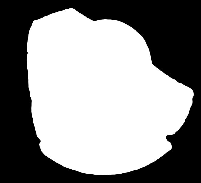 Λεκ 21
