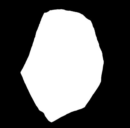 Λεκ 113
