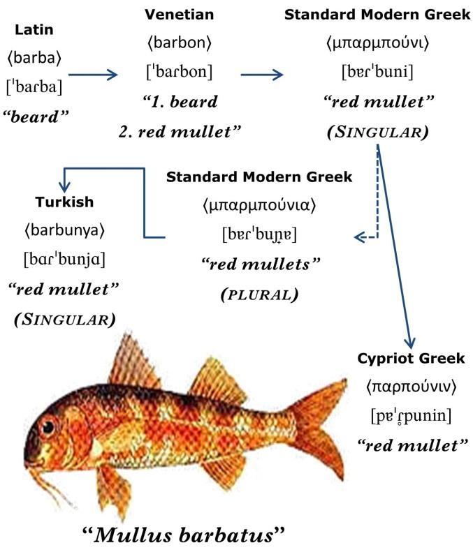 Nuri Sılay & Σπύρος Αρμοστή Barbunya Μπαρμπούνι {Speakers of Turkish can pronounce Standard