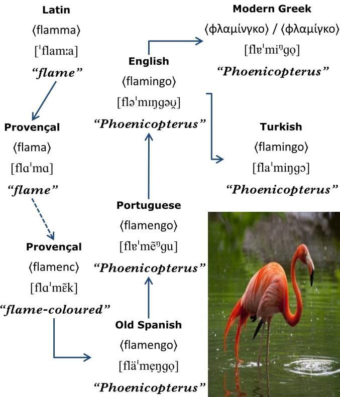 Nuri Sılay & Σπύρος Αρμοστή Flamingo Φλαμίνγκο {Speakers of Turkish can