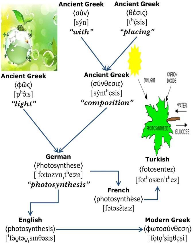 Nuri Sılay & Σπύρος Αρμοστή Fotosentez Φωτοσύνθεση {Speakers of Turkish