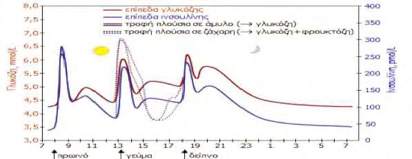 Εικόνα 1.11: Τυπικές διακυμάνσεις των συγκεντρώσεων της γλυκόζης και της ινσουλίνης στο αίμα υγιούς ατόμου κατά τη διάρκεια της μέρας. 1.3.