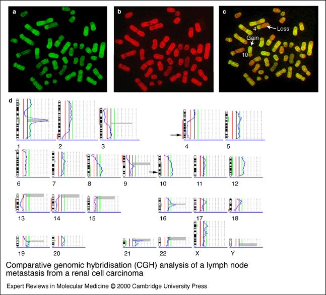 Comparative Genomic