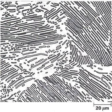 Austenite γ Austenite Austenite Ferrite nuclie Ferrite Pearlite איור 1.8: מעבר האוסטניט לפרליט. בנקודה h בנקודה g הנתך אוסטניטי.