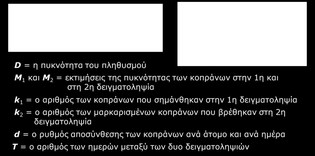 Τροποποιημένη 