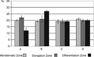 zone (meristematic zone, elongation zone, differentiation zone). Each value is the average of three independent experiments and bars indicate the standard deviation of the measurement.