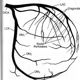 Coronary