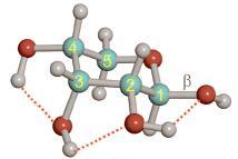 - Všetky vykazujú pyranozidovú štruktúru stabilizovanú sieťou kooperatívnych vodíkových väzieb.