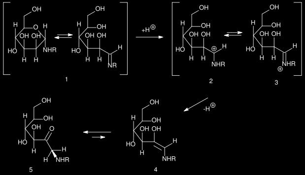 Reakcie monosacharidov Príprava N-glykozidov Amadori Nukleofilná adícia amínov na cukry poskytuje