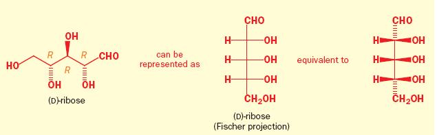MNSACHARIDY Štruktúra a stereochémia Fischerova projekcia: C navrchu a CH 2 naspodu vertikálne
