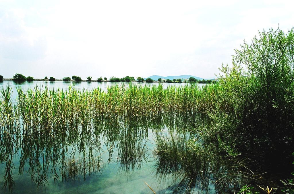 Εμπειρική παρατήρηση μικρών υγροτόπων ευρύτερης περιοχής Αναρρυθμιστική λίμνη Καρδίτσας: Πρόκειται για τεχνητό υγροτοπικό σύστημα το οποίο κατασκευάστηκε ταυτόχρονα με το φράγμα της λίμνης Ν.