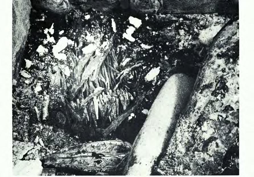 As I noted above, the excavation of the chamber tomb has not been completed and the investigation of the interior is in the initial phase.