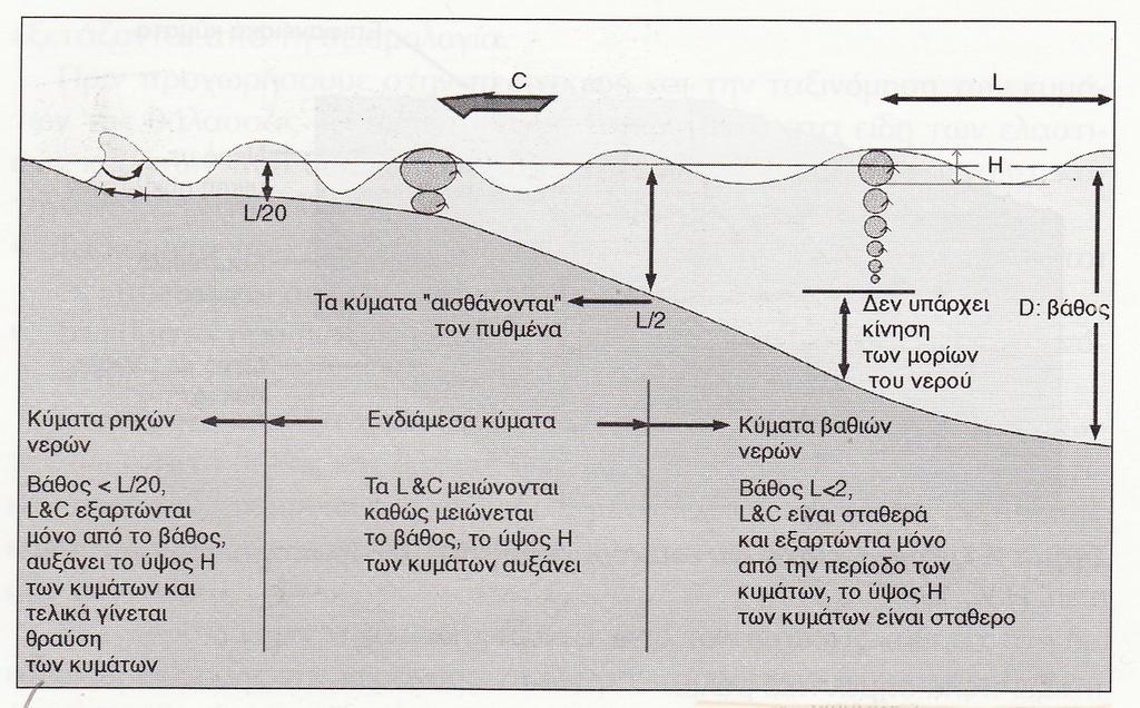 Καθώς ένα κύμα μεγάλου βάθους προσεγγίζει την ακτή και κινείται μέσα σε αβαθή νερά, ο πυθμένας αρχίζει να αλληλεπιδρά με τις τροχιές και σταδιακά να γίνονται πεπλατυσμένοι κύκλοι και ελλείψεις.