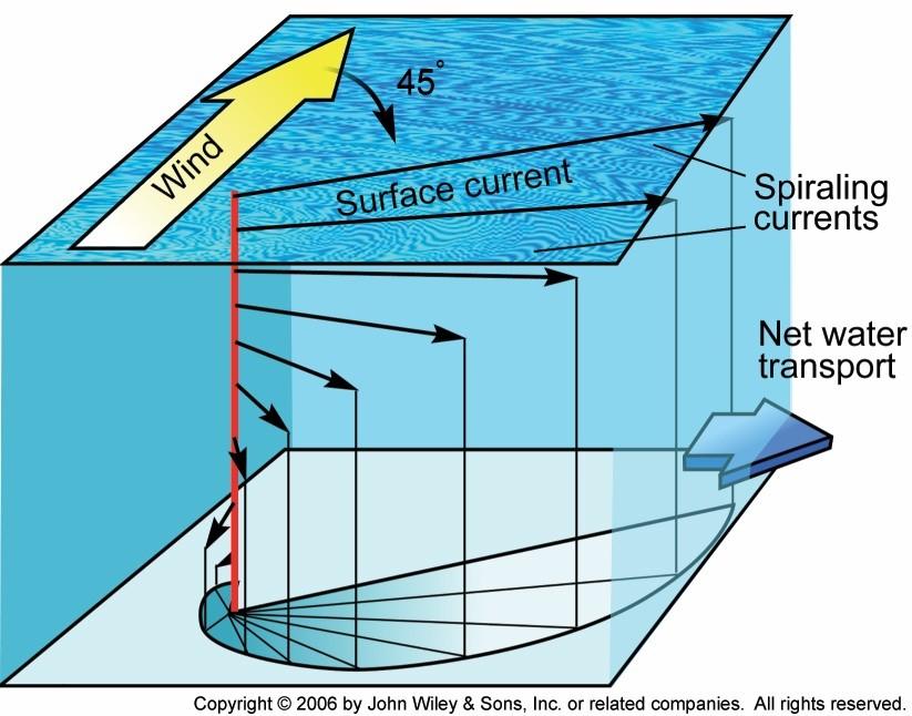 2.3.4 Η σπείρα του Έκμαν Όπως αναφέρεται από τον Αλμπανάκη (1999) ο άνεμος, εκτός από τα κύματα που δημιουργεί, παρασύρει το επιφανειακό νερό με την τριβή που ασκεί στην επιφάνεια της θάλασσας.
