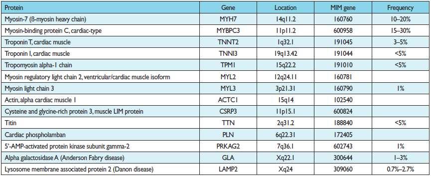 Main genes associated with familial hypertrophic