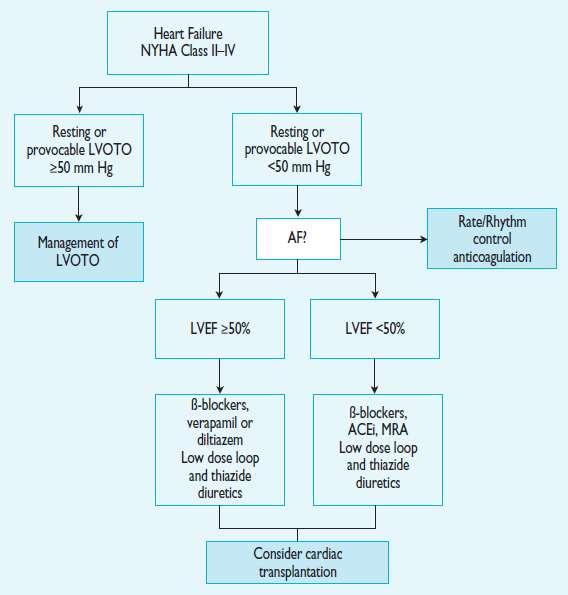 Management of symptoms in patients without LVOT obstruction EF