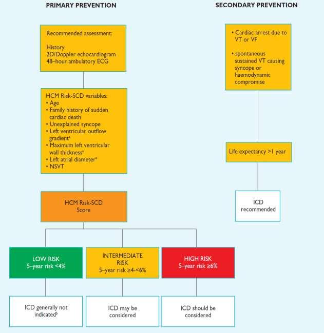 Prevention of SCD European Heart