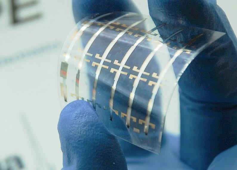 General Section photosyntezis phenomena, the researchers have also designed organic solar cells. Nowadays, they have a low efficiency, but a great growth potential.