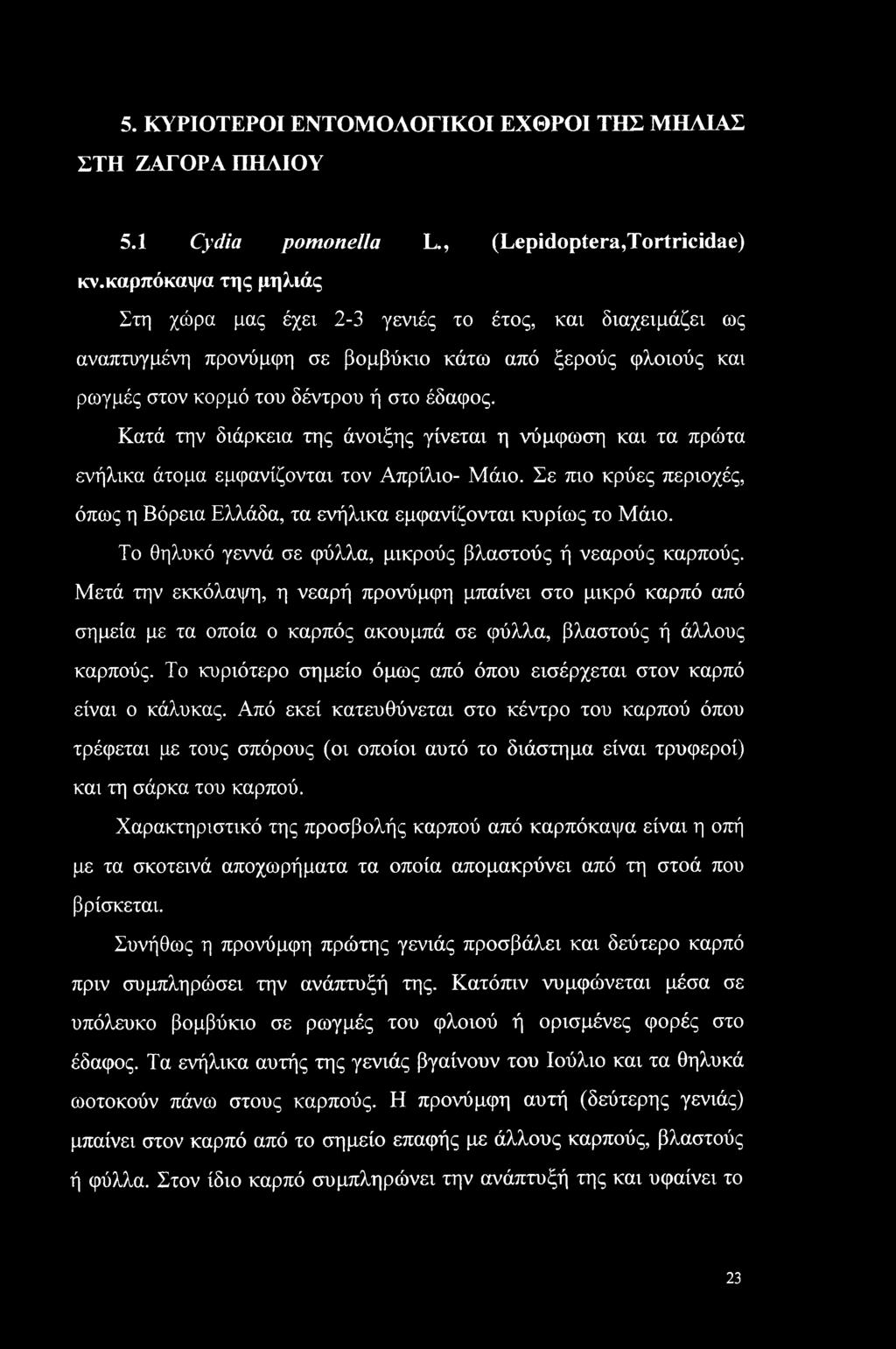 Κατά την διάρκεια της άνοιξης γίνεται η νύμφωση και τα πρώτα ενήλικα άτομα εμφανίζονται τον Απρίλιο- Μάιο. Σε πιο κρύες περιοχές, όπως η Βόρεια Ελλάδα, τα ενήλικα εμφανίζονται κυρίως το Μάιο.