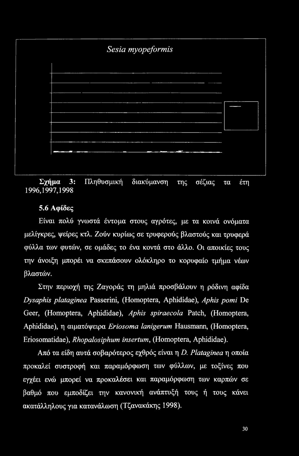 Στην περιοχή της Ζαγοράς τη μηλιά προσβάλουν η ρόδινη αφίδα Dysaphis plataginea Passerini, (Homoptera, Aphididae), Aphis pomi De Geer, (Homoptera, Aphididae), Aphis spiraecola Patch, (Homoptera,