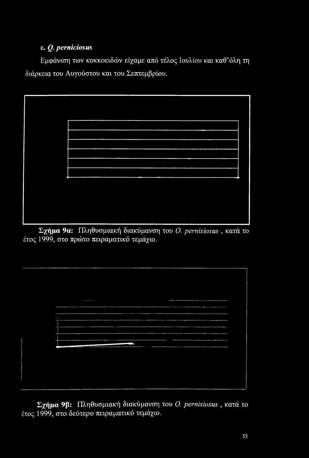 pernisiosus, κατά το έτος 1999, στο πρώτο πειραματικό τεμάχιο.